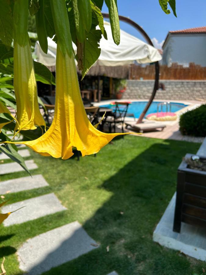 Pupa Alacati Butik Otel Кешме Экстерьер фото