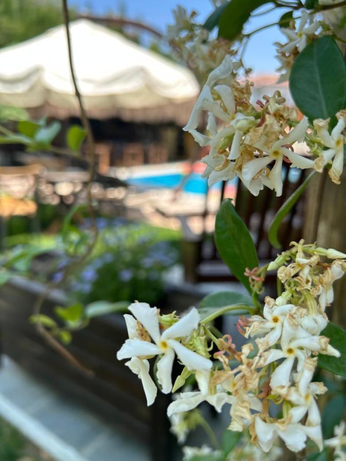 Pupa Alacati Butik Otel Кешме Экстерьер фото
