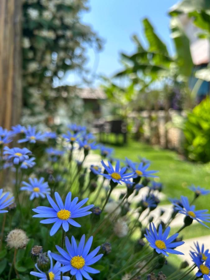 Pupa Alacati Butik Otel Кешме Экстерьер фото